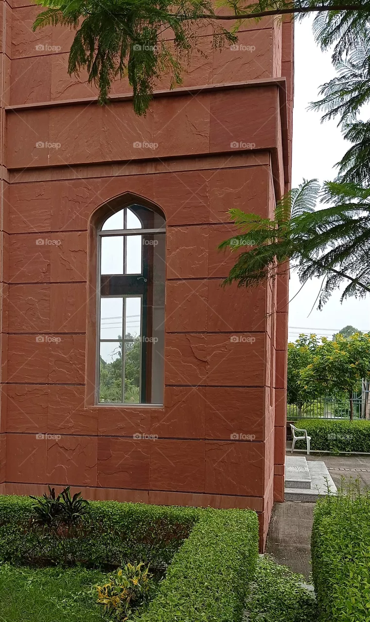 window