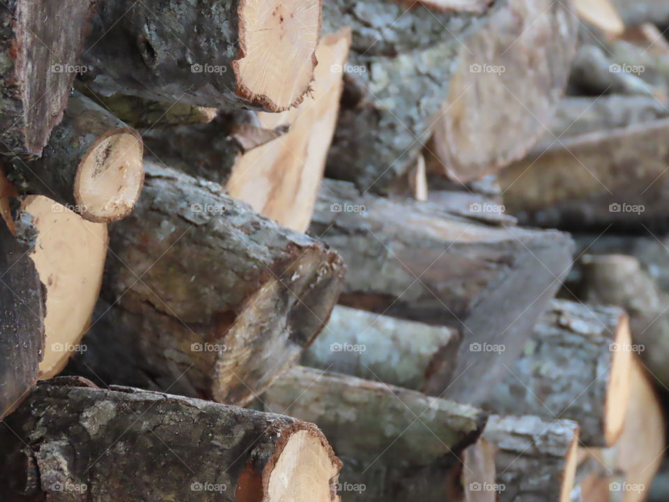Wood log wall