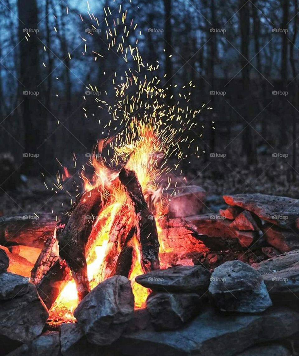 Wonderful fire in the woods