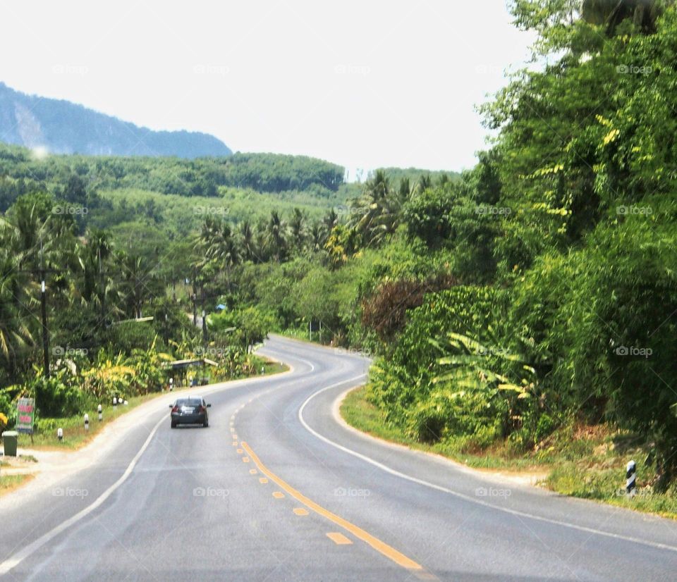 Road lead into destination.