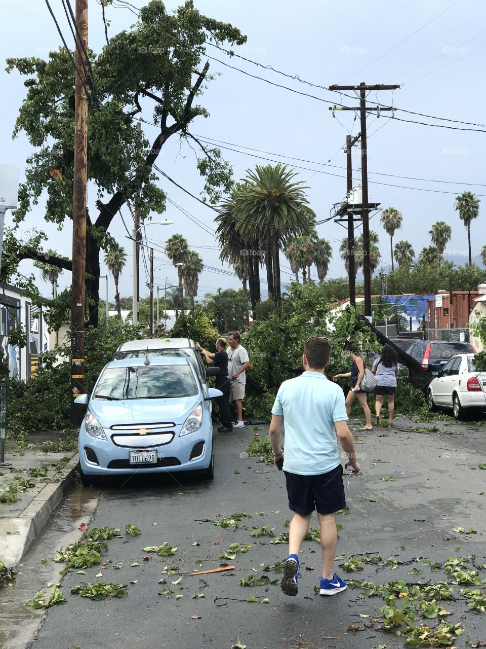 In the aftermath of The Microburst in Santa Barbara, California