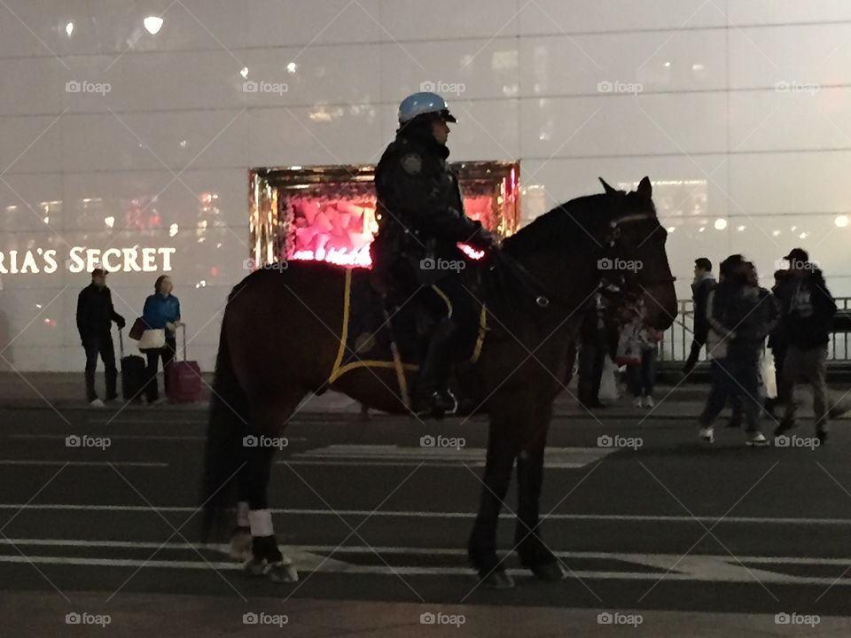 Nypd horse . NYPD officer riding a horse 