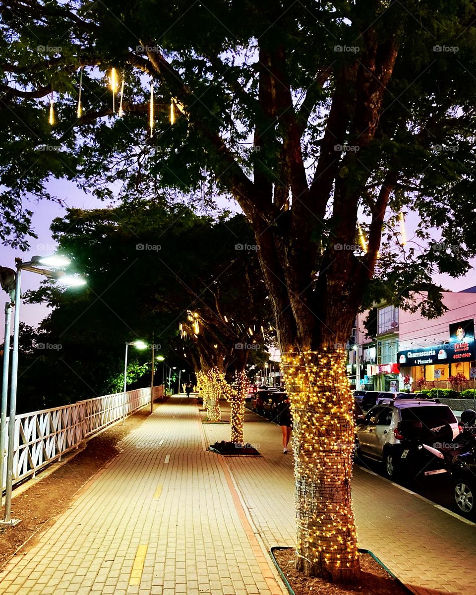 Anoitecendo com luzes natalinas! A cidade está bonita…

Bragança Paulista se iluminou e valeu a pena. Viva o tempo de espera do Natal!

