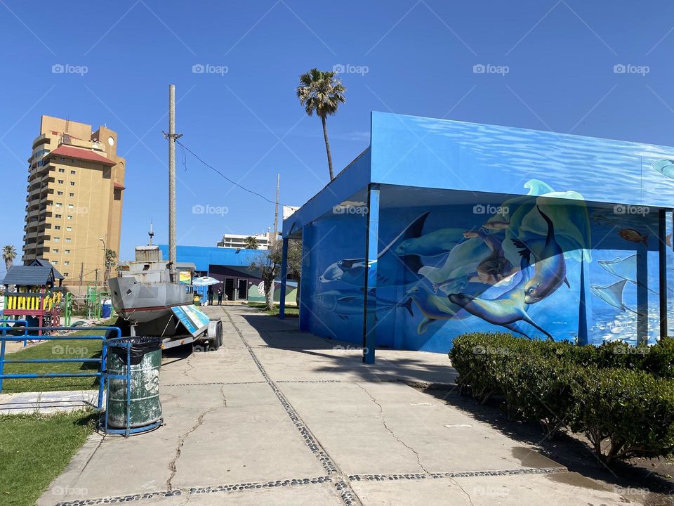 Inspiración vida marina 