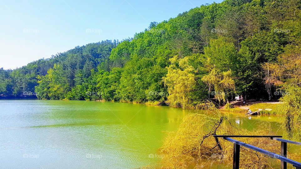 Vida Lake, Romania