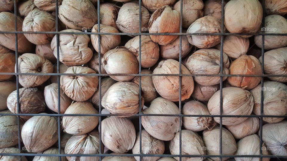 Dry coconuts in the basket