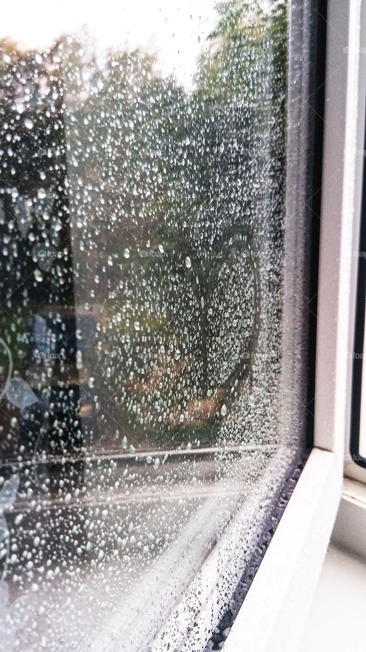 капли дождя на стекле