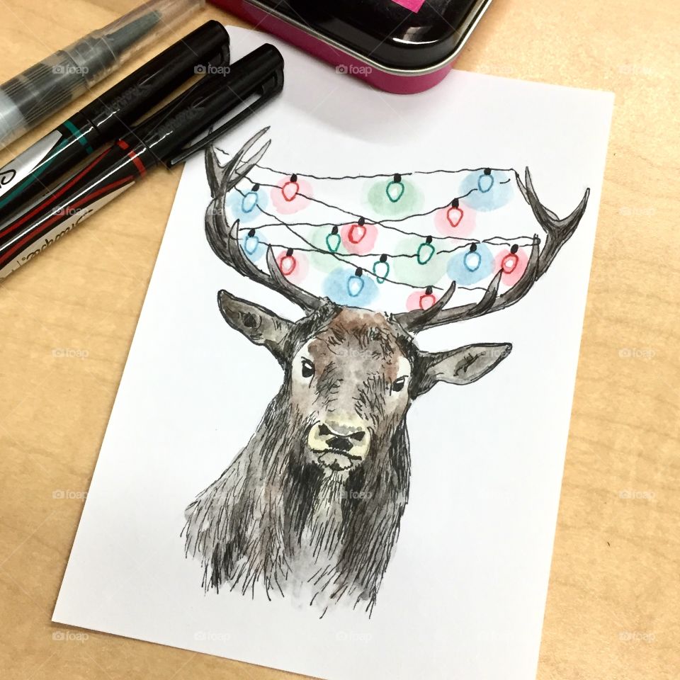 Drawing Deer