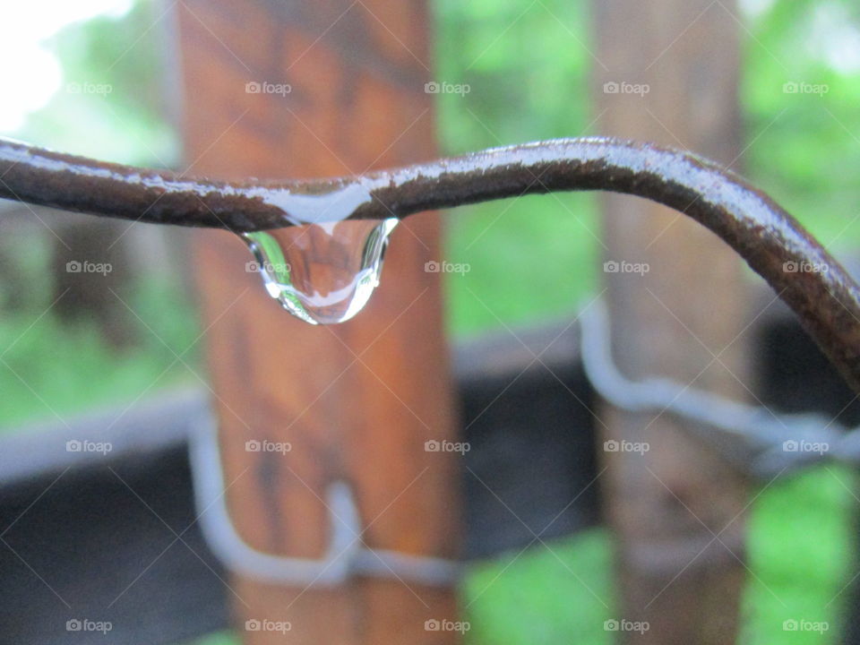 water drop
