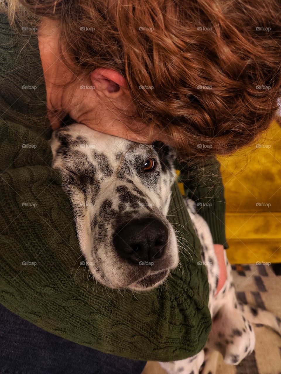 Curly red haired woman loving her dog by cuddling with the cute dog, Dalmatian lookalike.