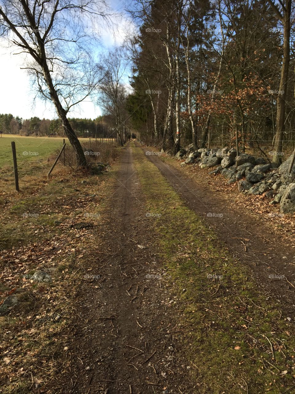 Catched at a walk at Möreleden, Kalmarsund, Sweden 