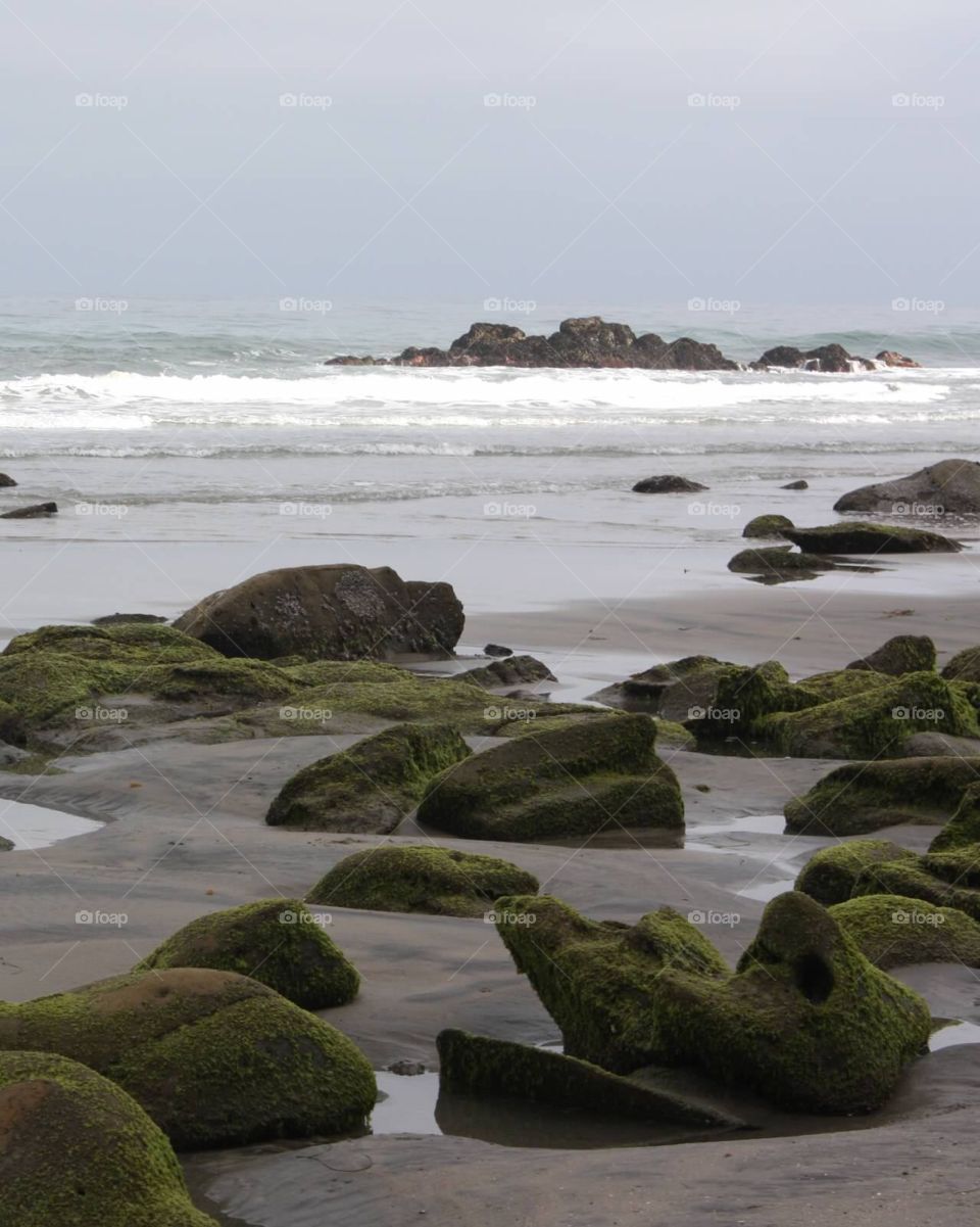 La Jolla Shoes at Low Tide. La Jolla Shores at low tide