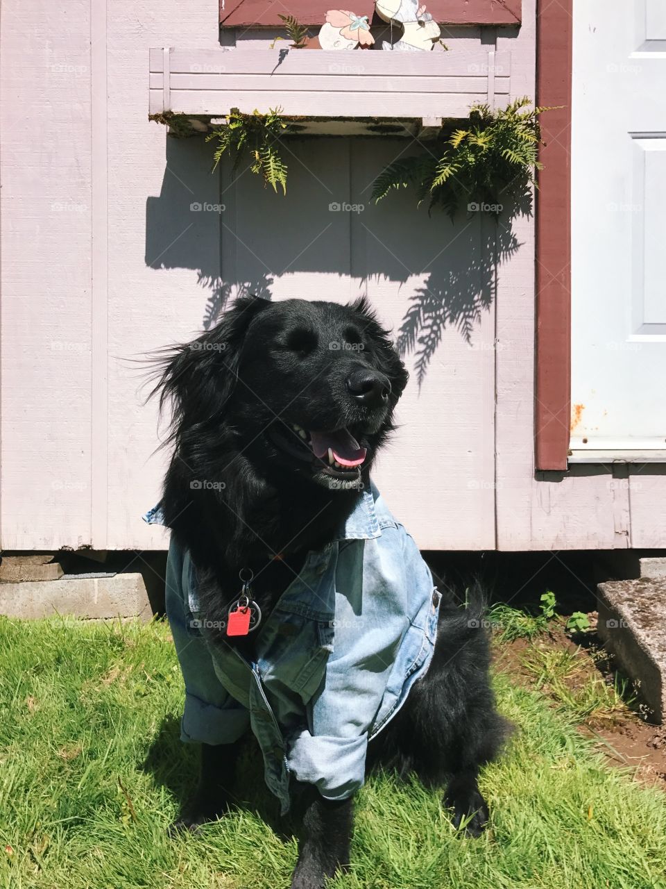 Nothing but good vibes