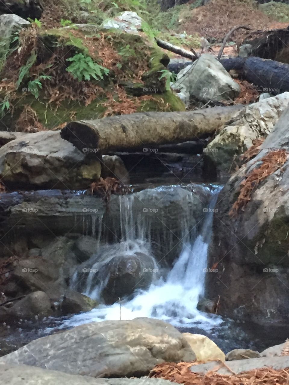 Lime Kiln creek waterfall. 