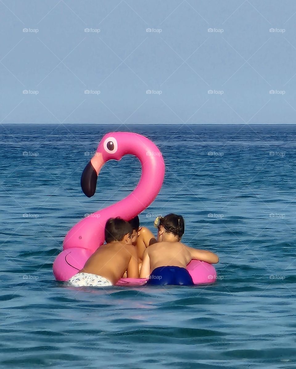 flamingo water coil