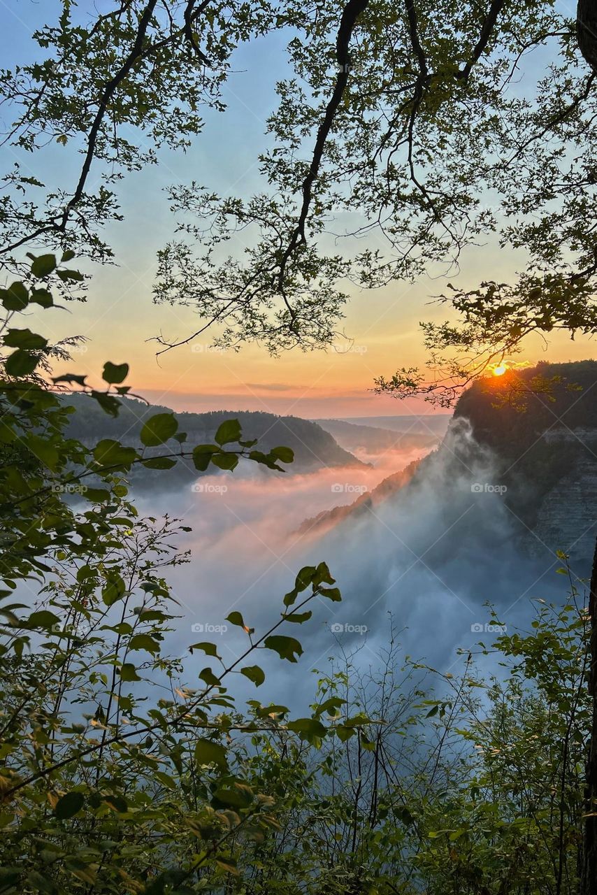 Beautiful, foggy sunrise over Letchworth State Park, also known as the Grand Canyon of the East. 