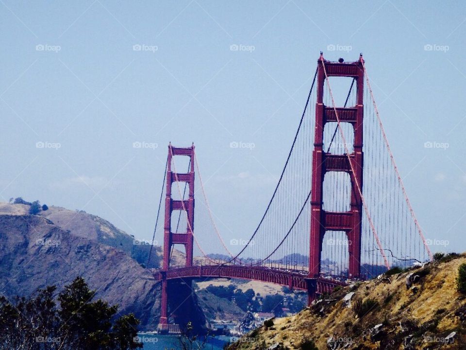 If You're Going to San Francisco, make sure to wear some flowers in your heart. 