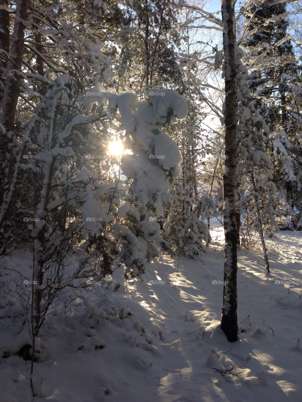 snow winter nature sun by MagnusPm