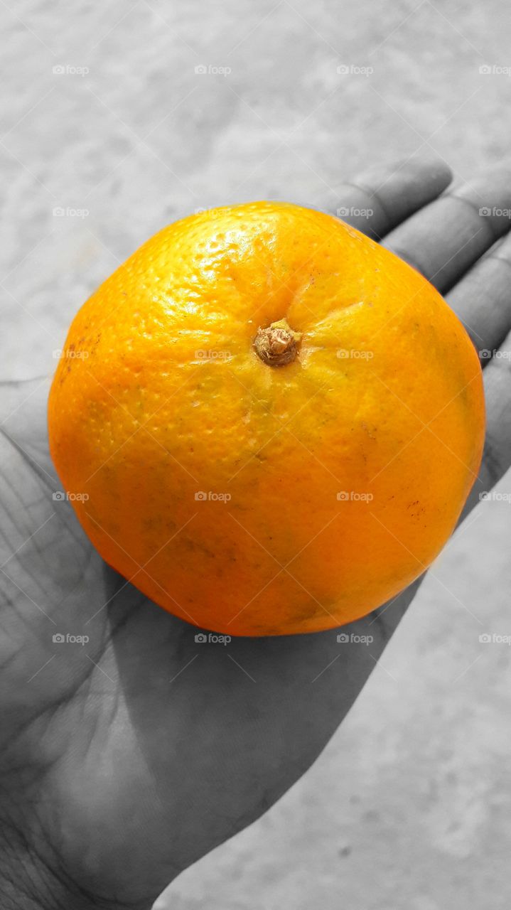 beautiful orange