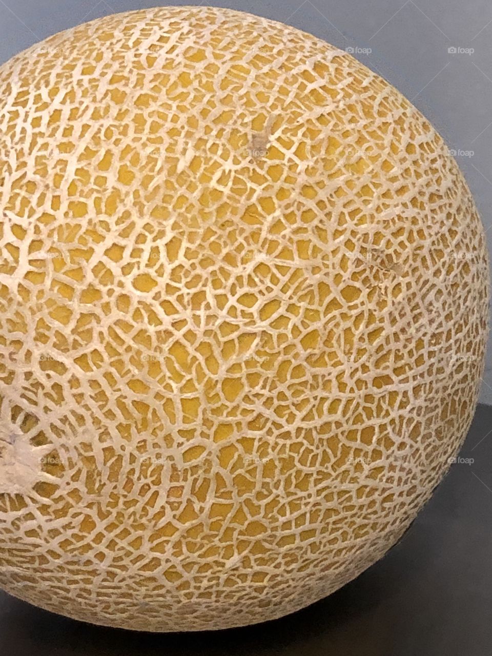 Cantaloupe 