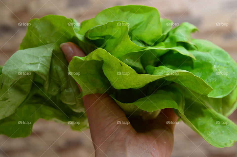 Holding food