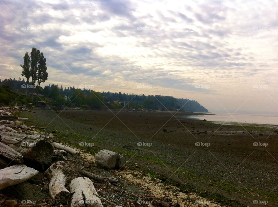 Low Tide In Seattle. A lovely overcast day at the beach in Normandy Park; suburb of Seattle. 