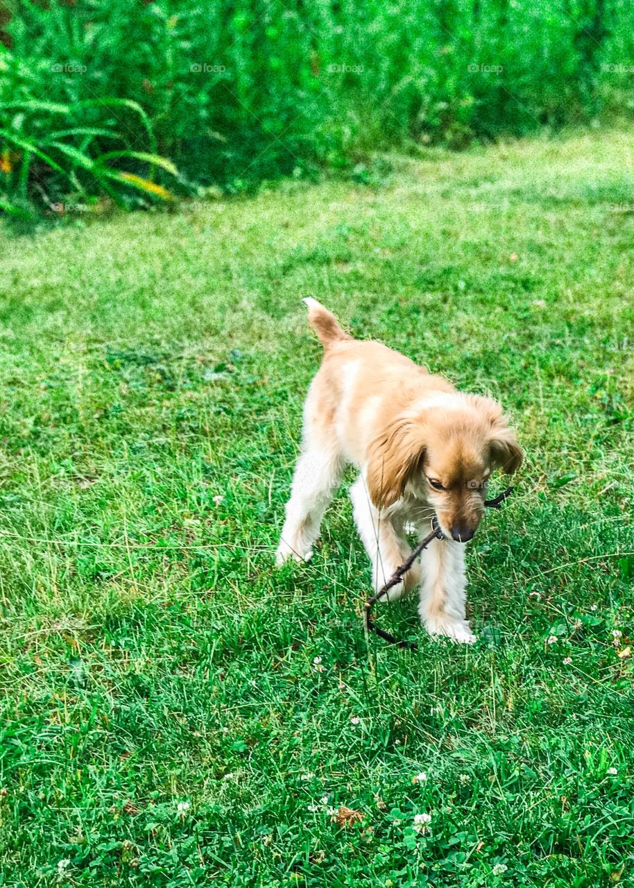 I love sticks for lunch 