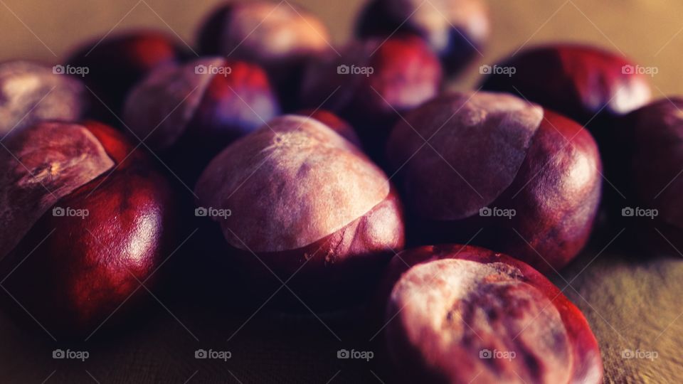 Chessnuts