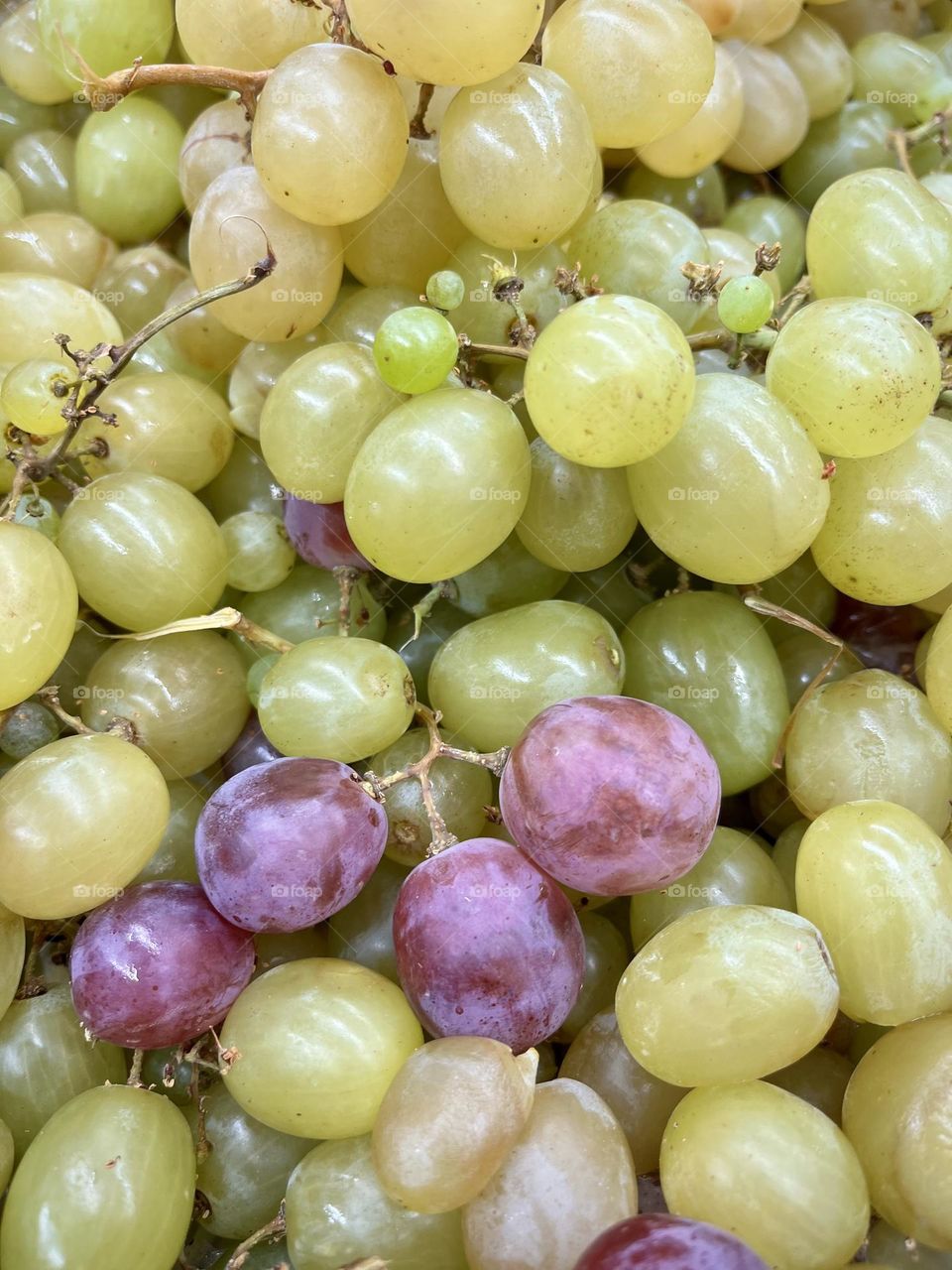 Grapes 