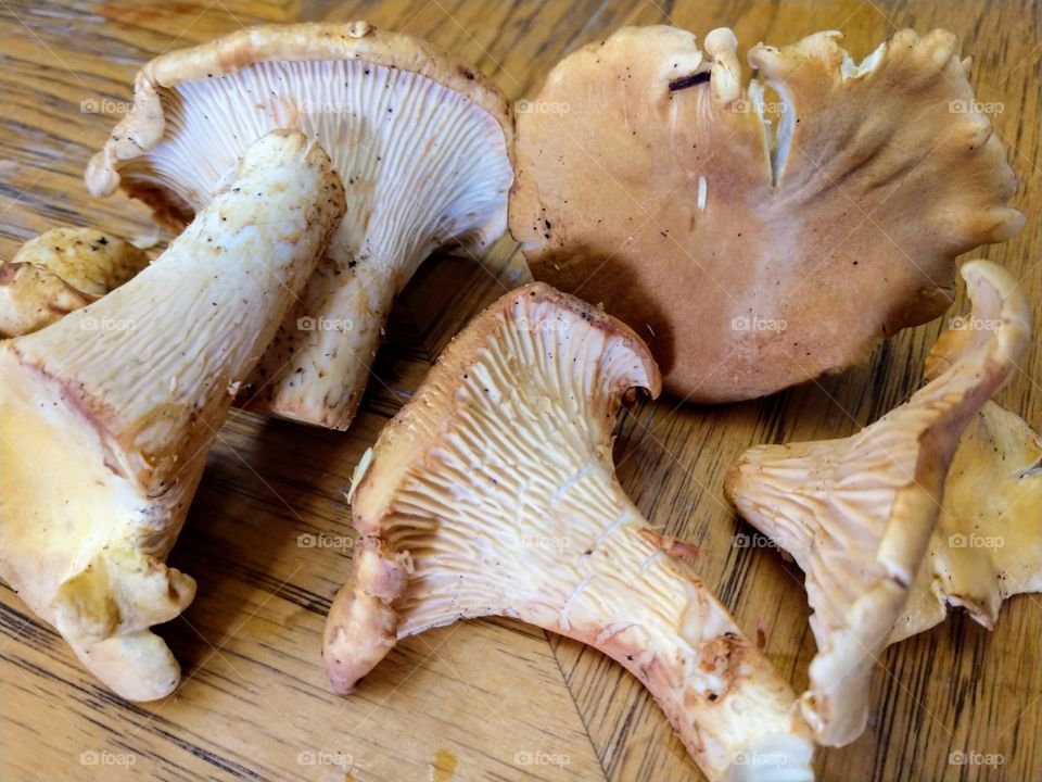 chantral mushrooms