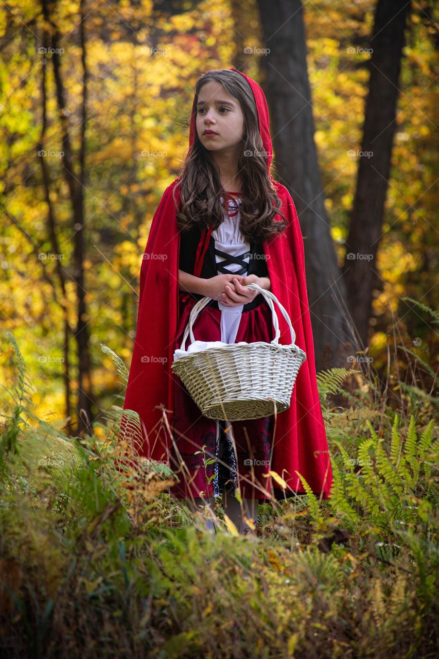 Little Red Riding Hood