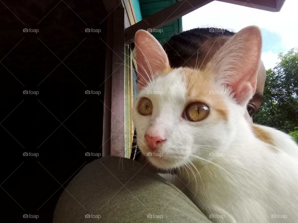 we all know how much we should take care of our because they are now a part of our family.