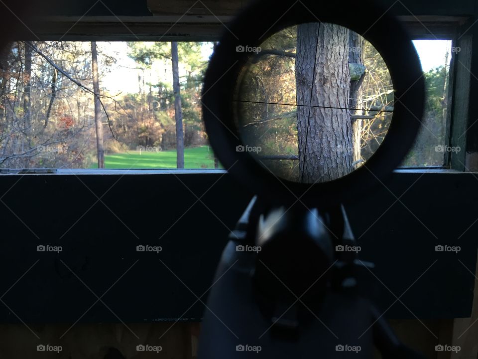 Through the scope 