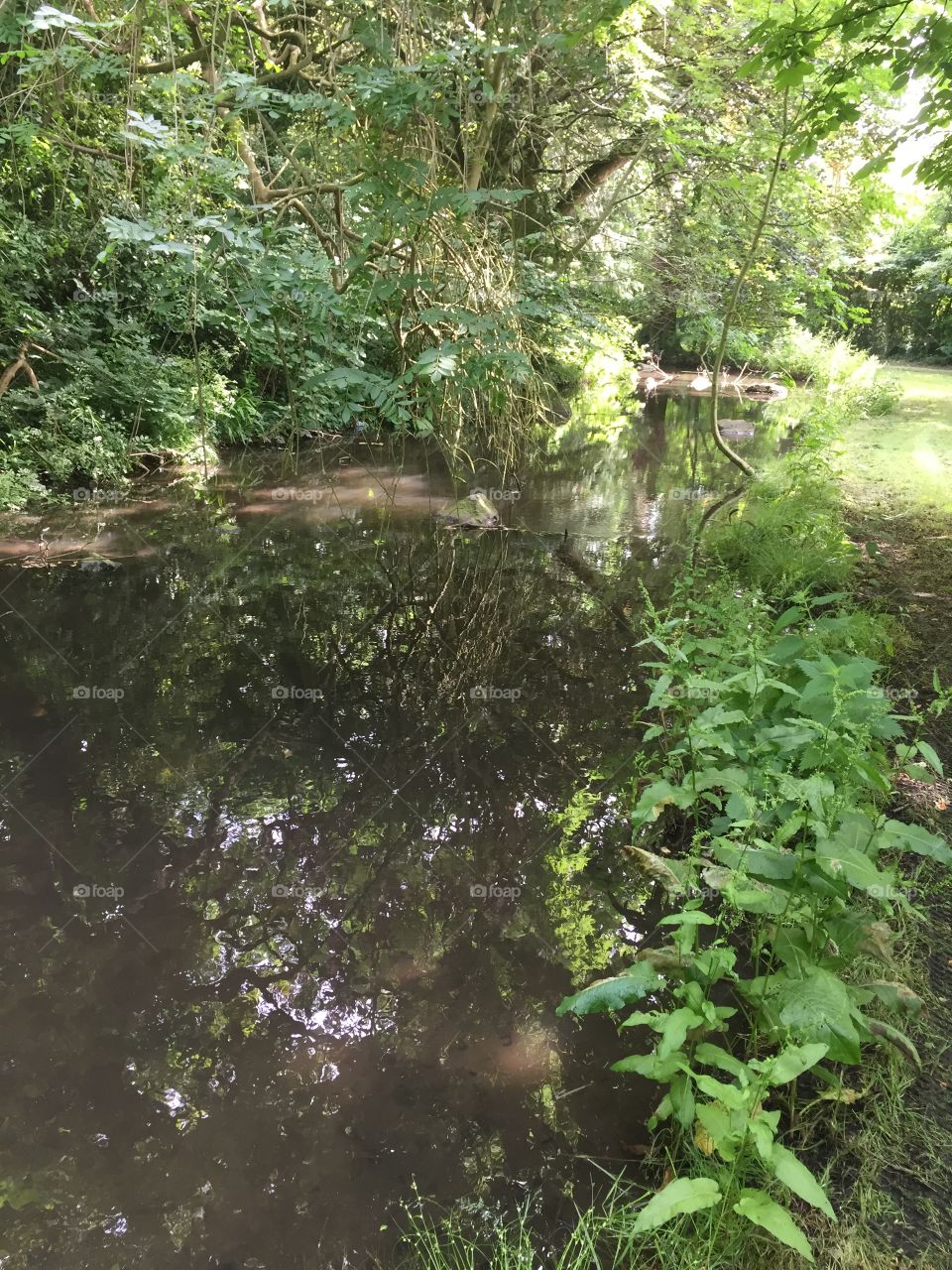 Welcome to the jungle 