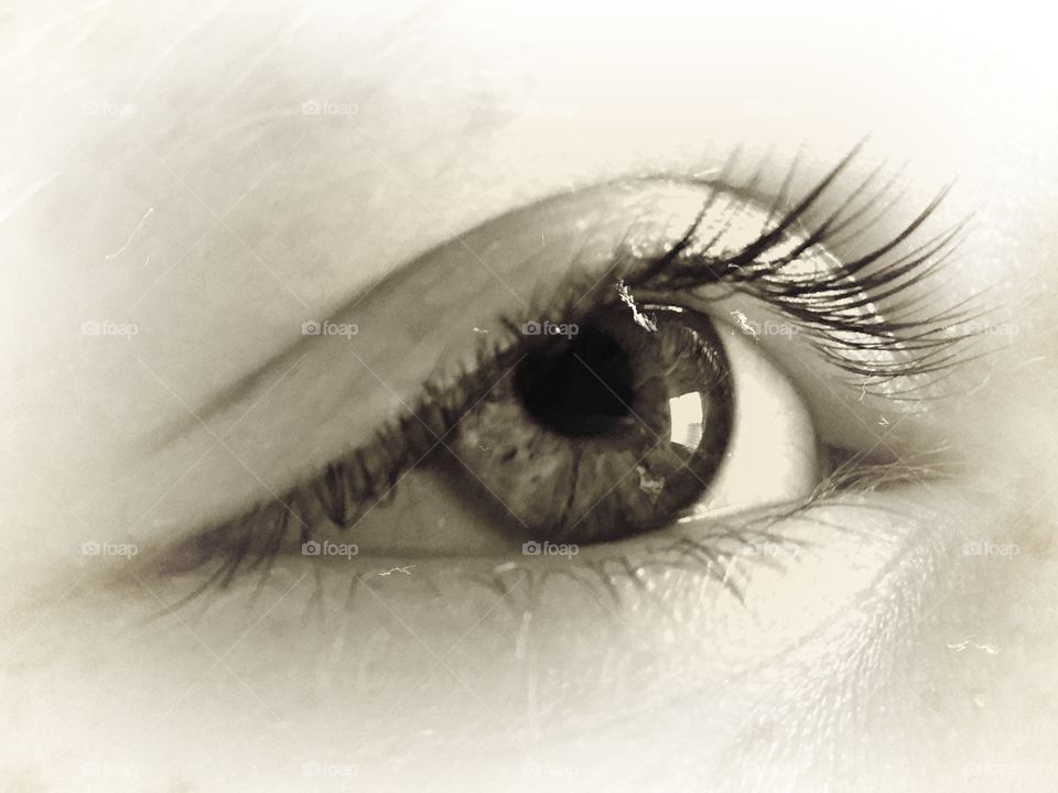Ten year old girl's iris and eye