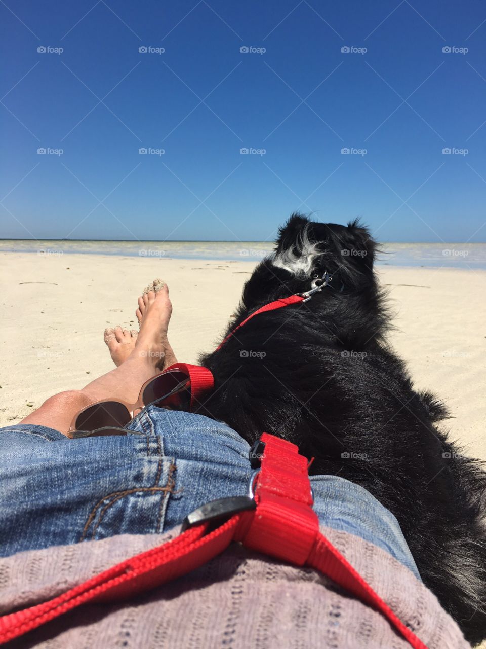 Barefoot bare legged Woman in denim skirt Relaxing resting in summer on endless sandy beach at low tide with border collie sheepdog in South Australia, Spencer gulf, ocean horizon, blue clear sky, Eyre Peninsula, Whyalla 