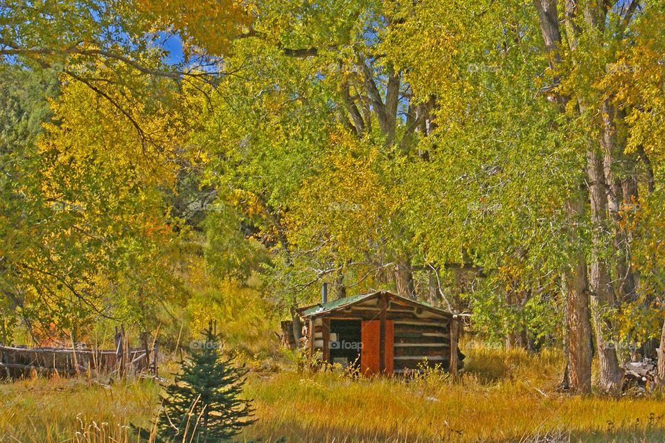 Ranchers cabin