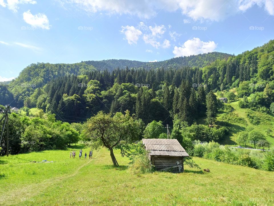 Your favourite travel destination
My beloved Carpathians. Green flower meadows. Cows with bells around their necks. Unforgettable trip across Ukraine. Mountains Dragobrat. Magnificent nature.