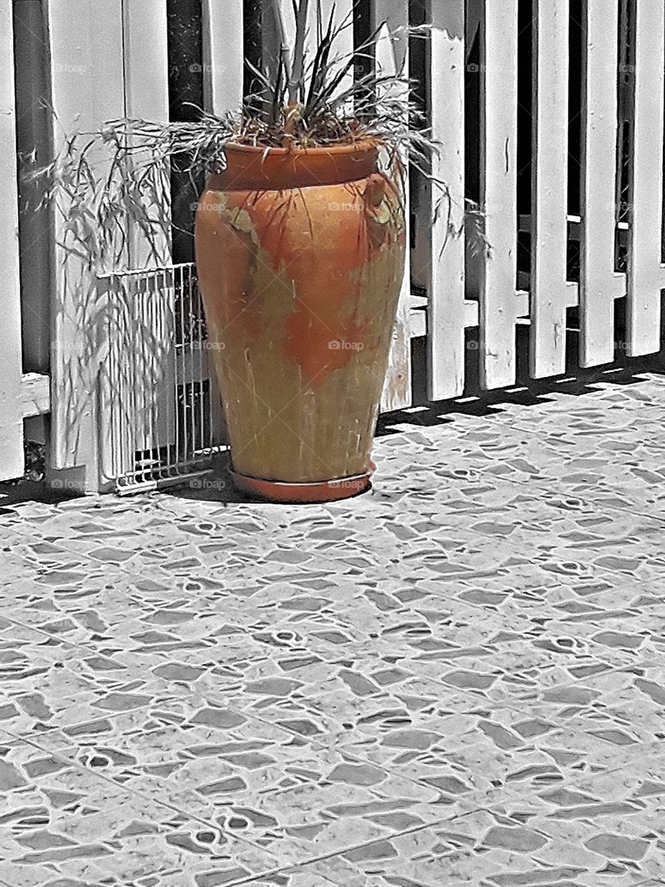 same picture with black and white