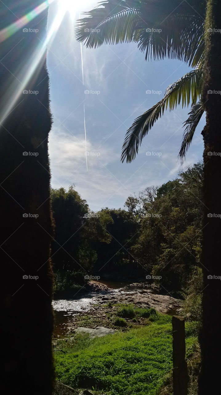 ENVIRONMENT NATURE NATURAL