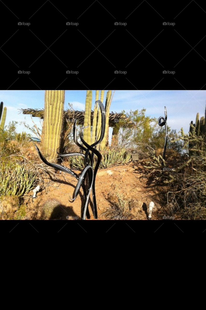 Art glass, desert, cactus, desert ,