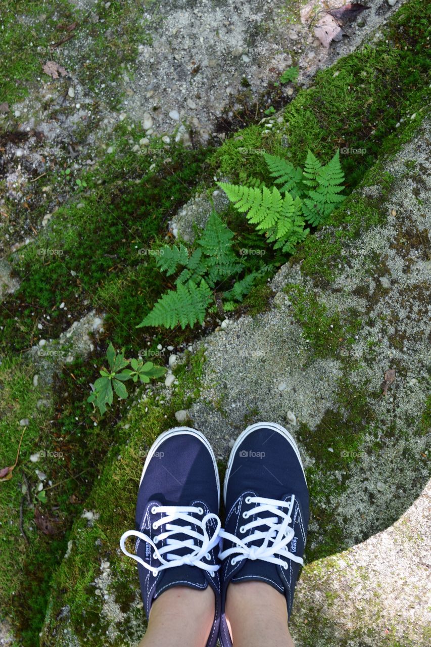 A woman in blue sneakers standing on a moss covered rock in the forest.