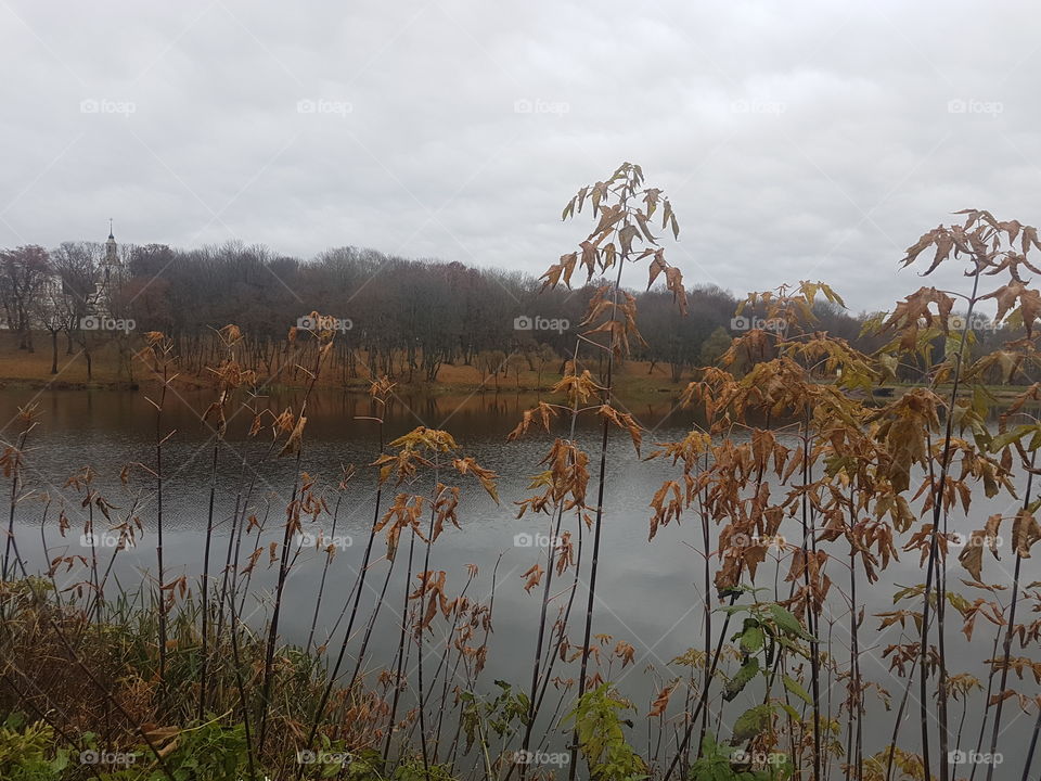 Autumn landscape 