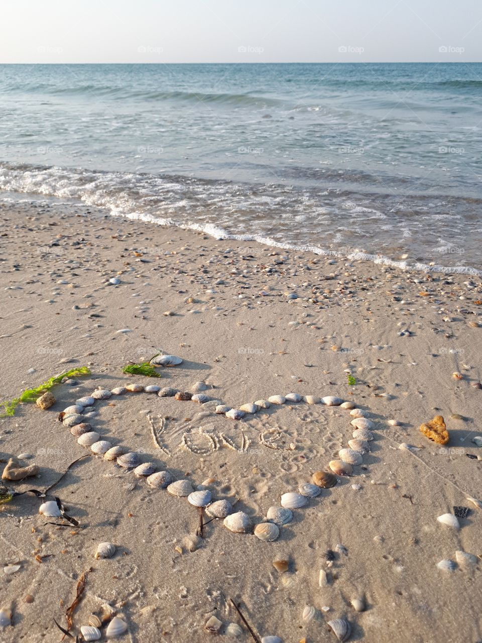 Heart from shells at sand beach