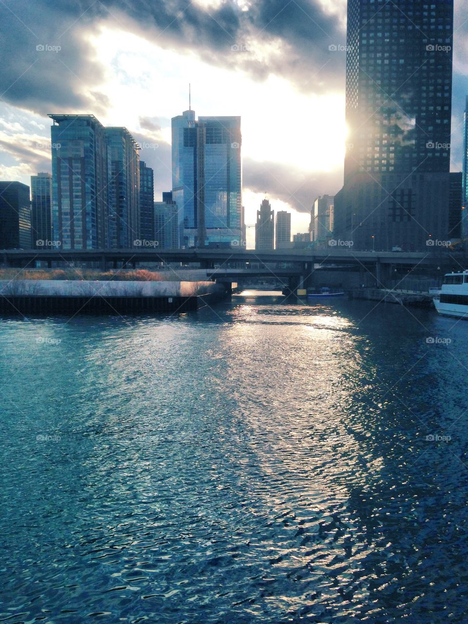 Chicago's Beauty 