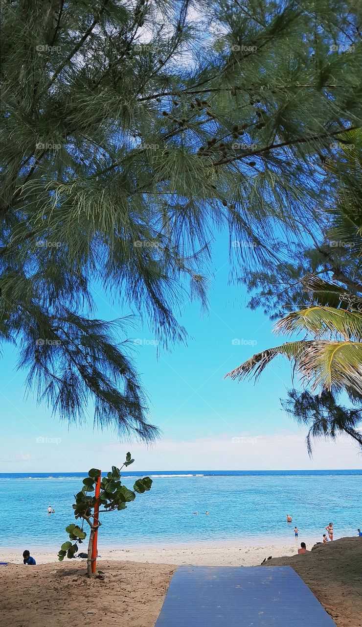 To the beach, please.