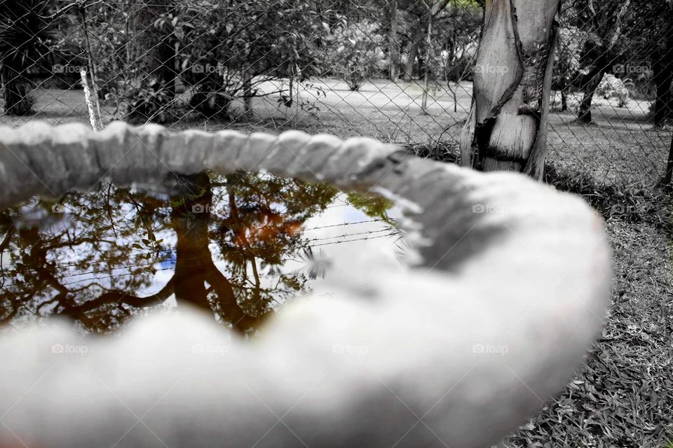 Bird Bath water feature