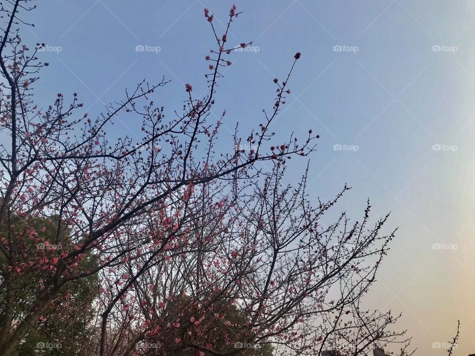 Spring is in the air