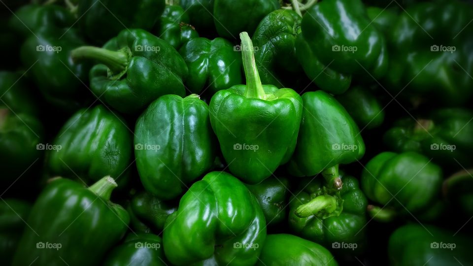 Capsicum