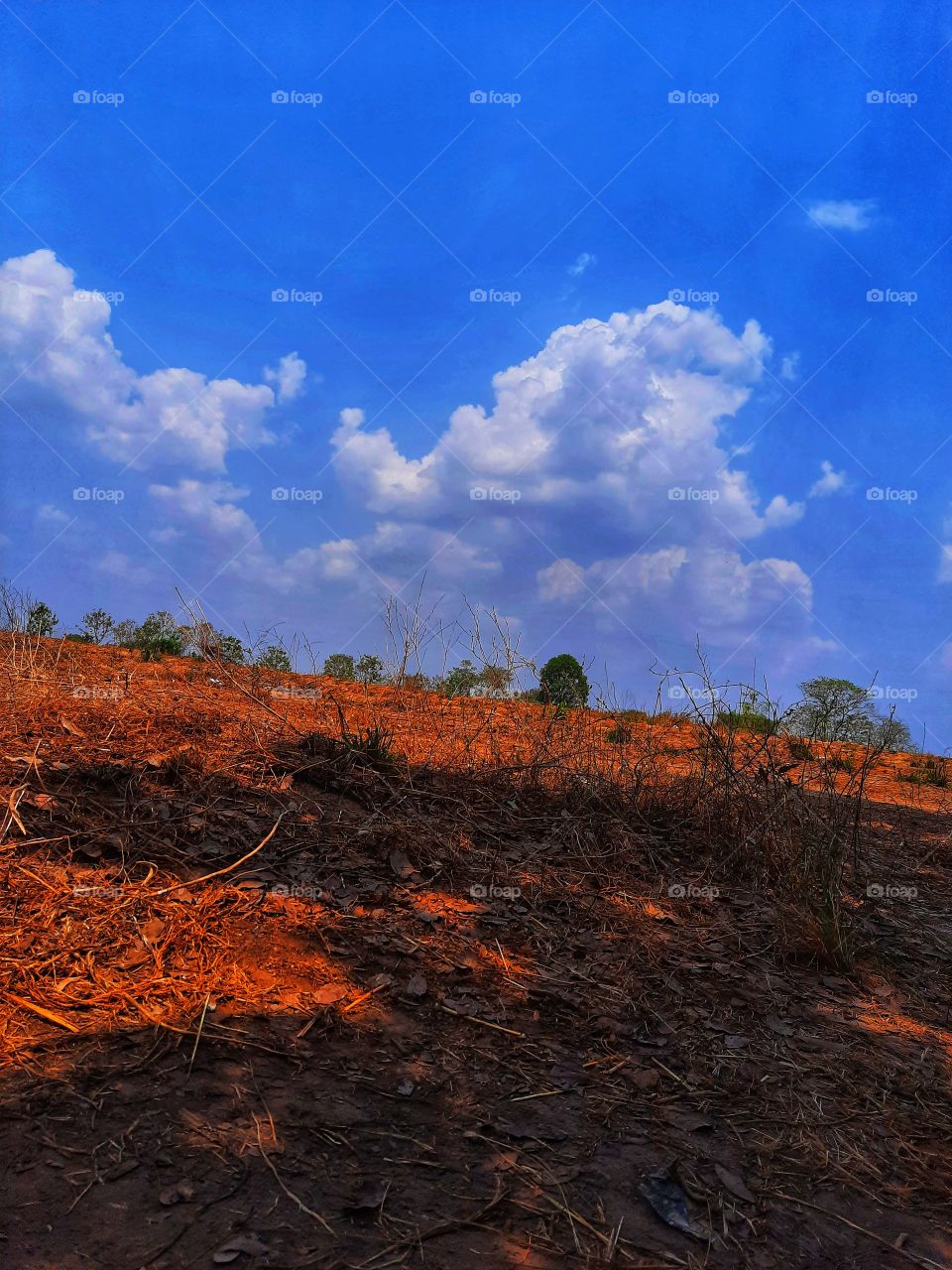 Looking for shadows...